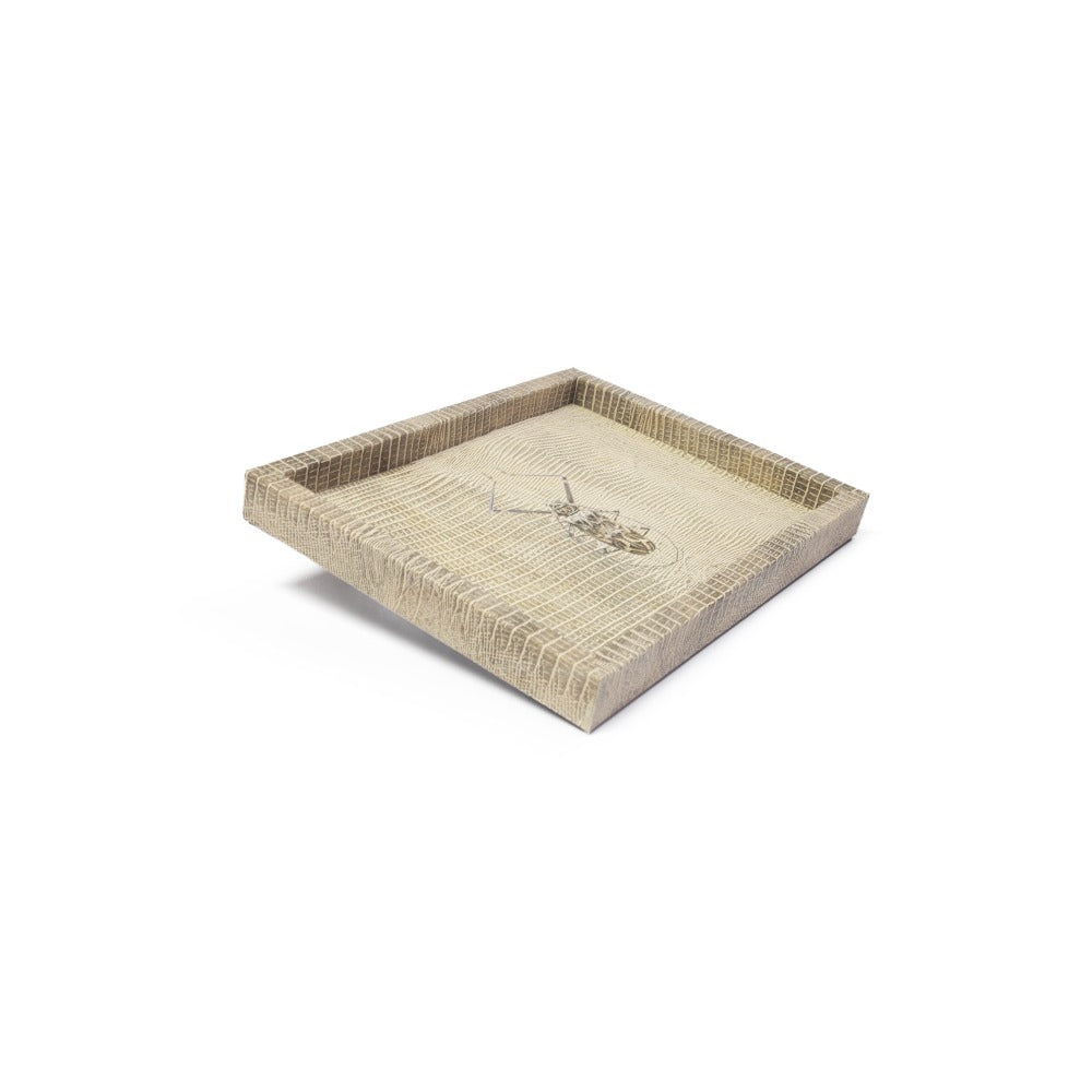 CHAROLA LADDU TEJUS CLARO