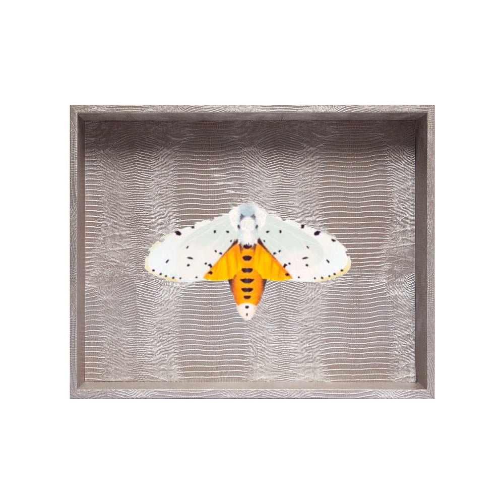 CHAROLA GRANDE TEJUS PLATA BEIGE