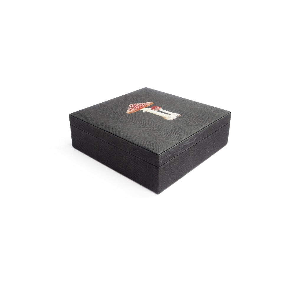 CAJA DE TE 9 PAMPA