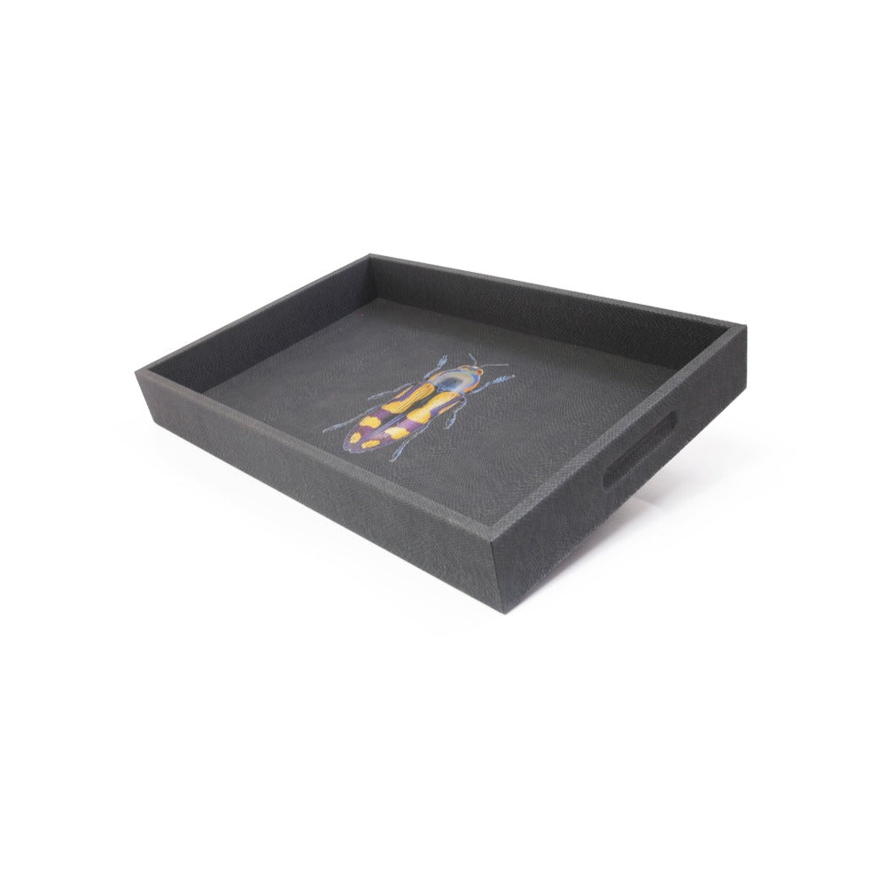 CHAROLA MEDIANA PAMPA