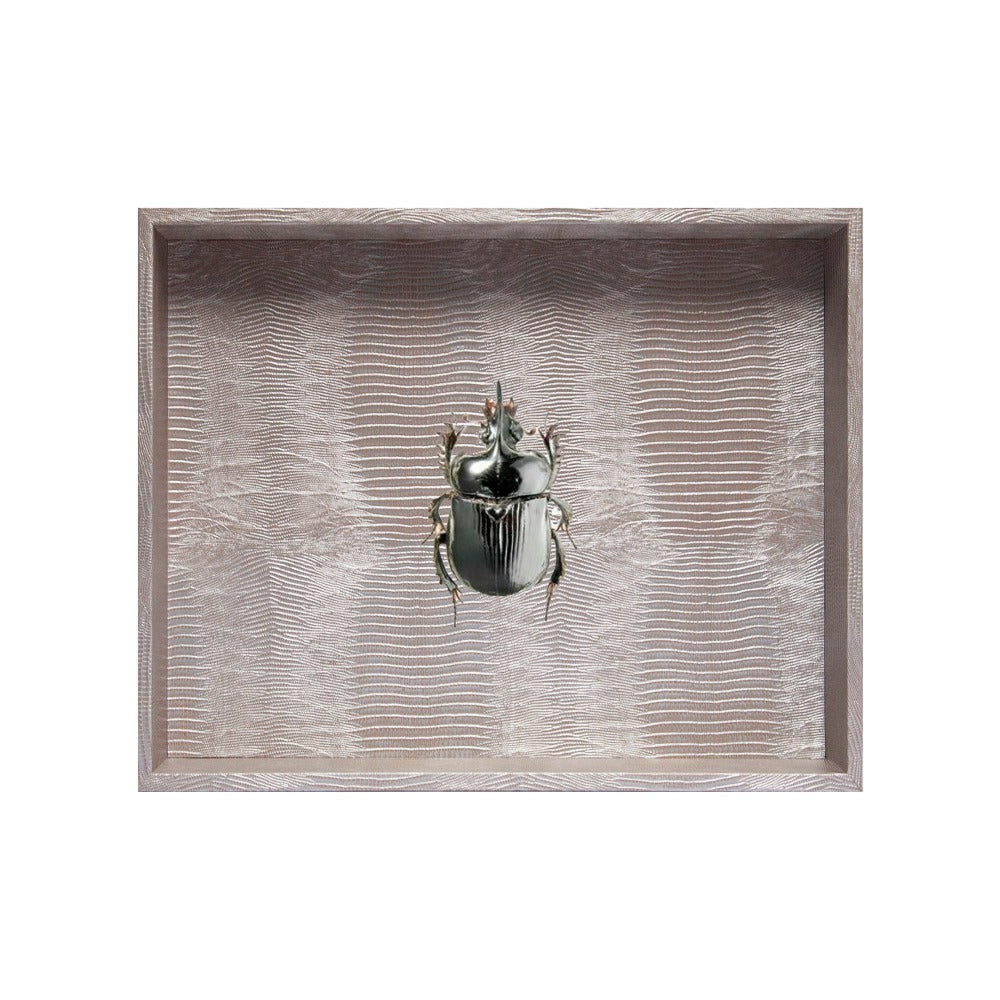 CHAROLA GRANDE TEJUS PLATA BEIGE