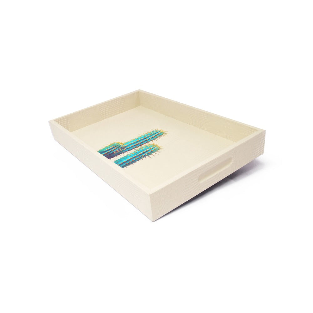 CHAROLA MEDIANA CARNE ARMADILLO