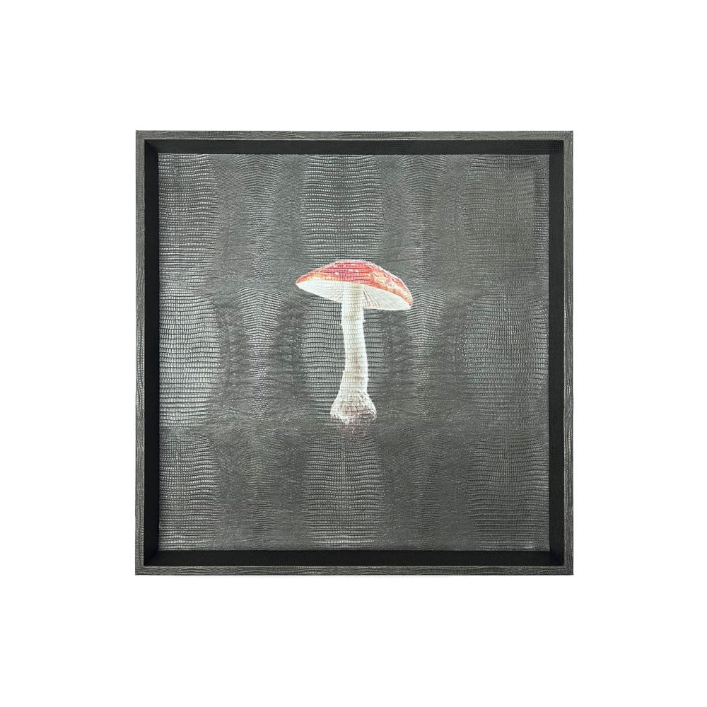 CHAROLA 50 X 50 GRIS ARMADILLO