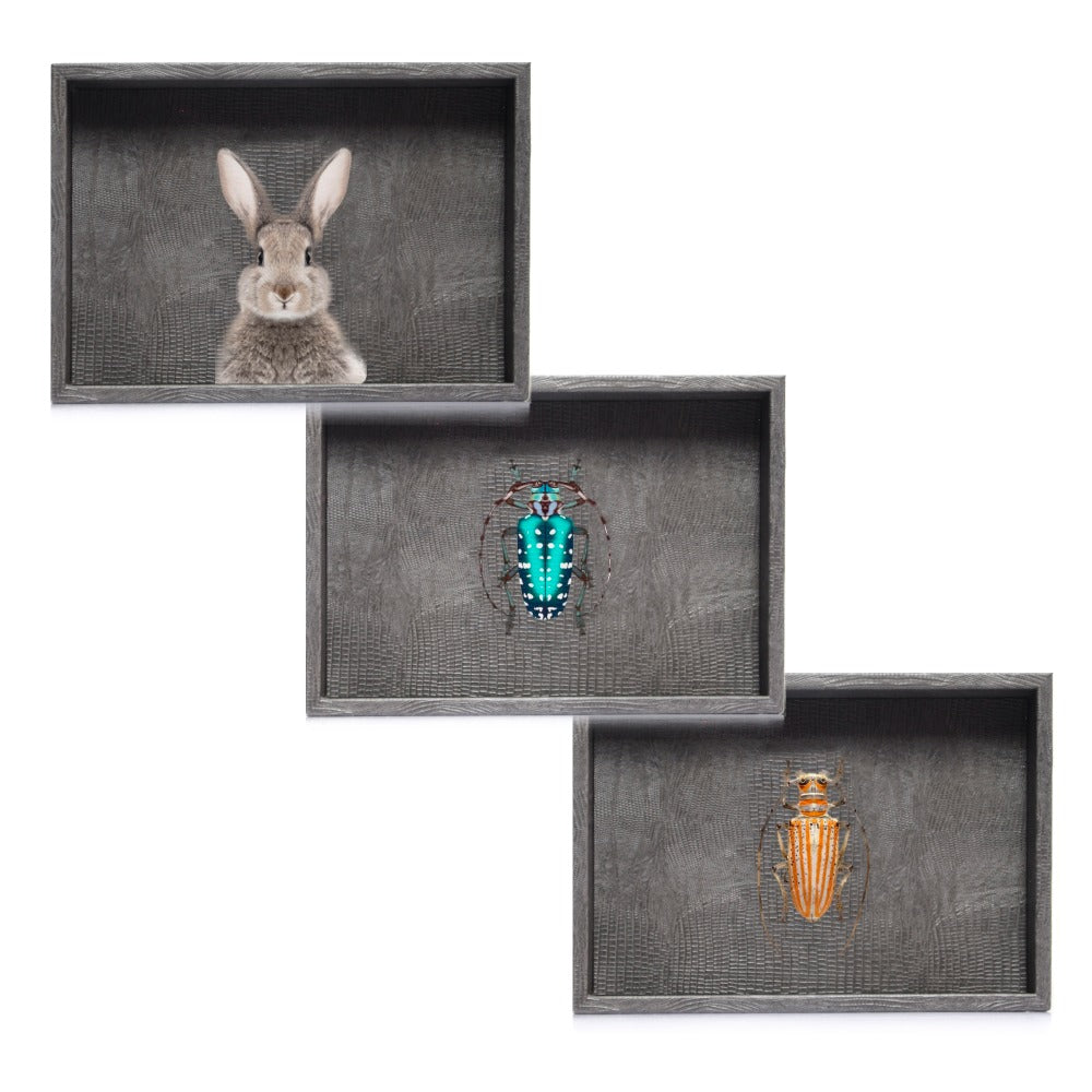 CHAROLA BURO GRIS ARMADILLO