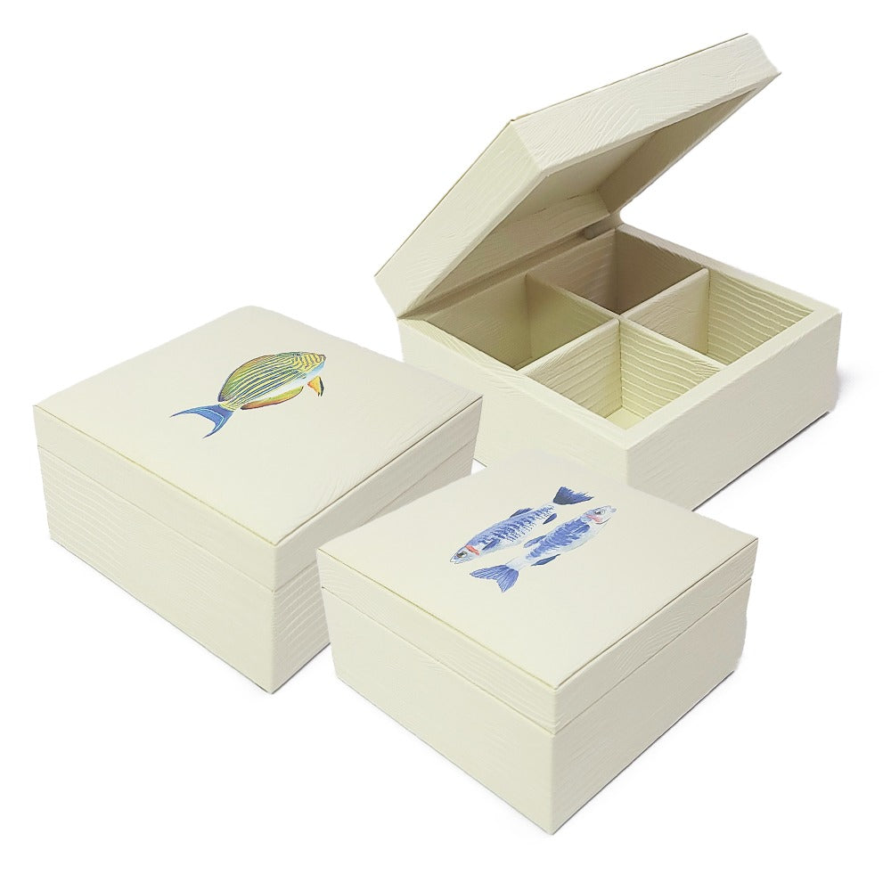 CAJA DE TE 4 CARNE ARMADILLO