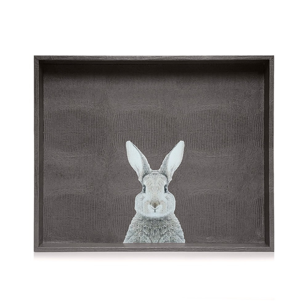 CHAROLA EXTRA GRANDE GRIS ARMADILLO