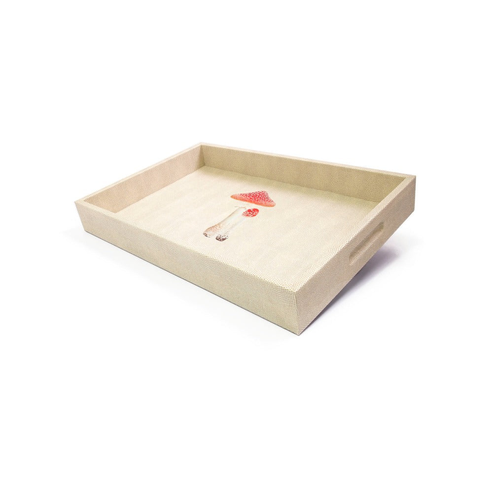 CHAROLA MEDIANA RAYITAS CARNE