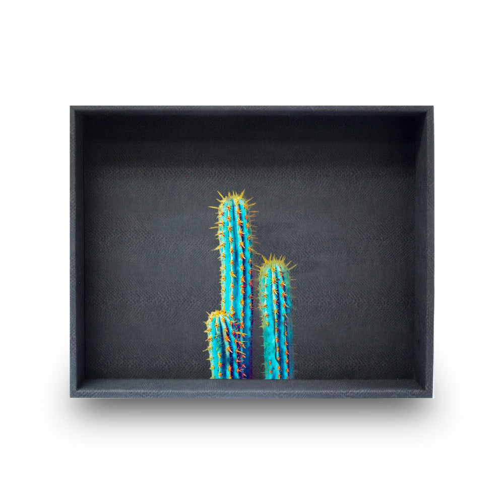 CHAROLA GRANDE PAMPA