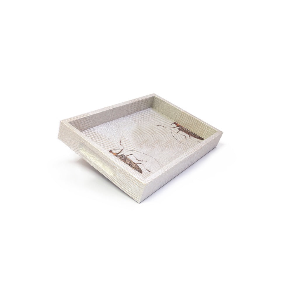 CHAROLA BURO TEJUS PLATA BEIGE