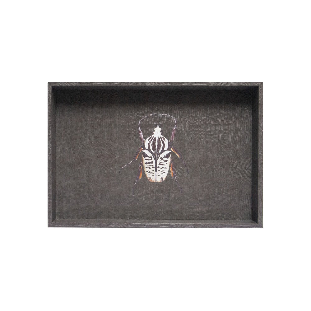 CHAROLA MEDIANA GRIS ARMADILLO