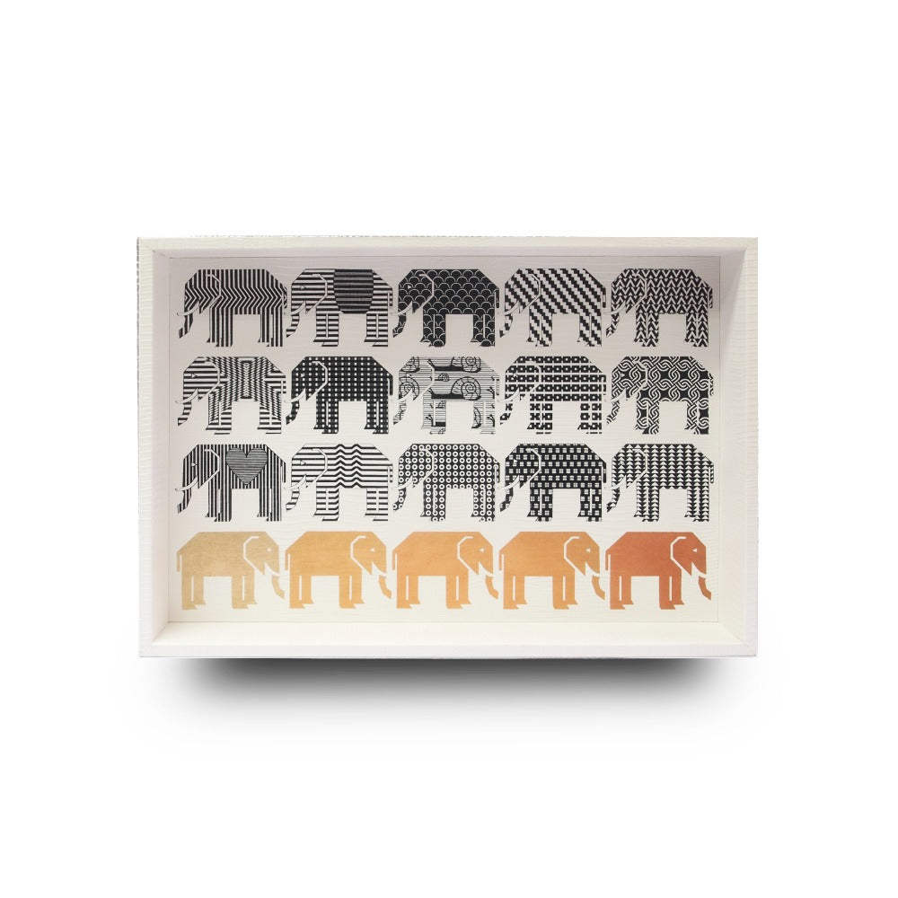 CHAROLA MEDIANA NIEVE ARMADILLO PEDRO FRIDEBERG