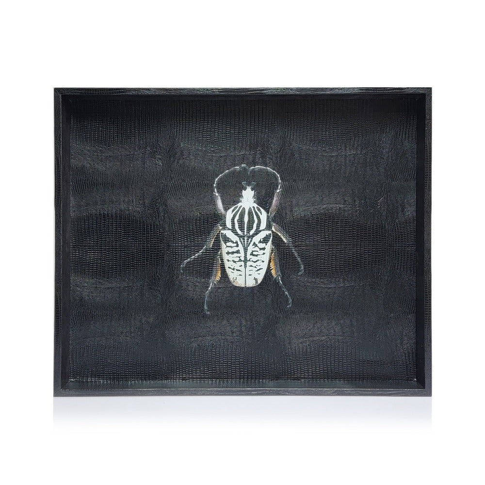 CHAROLA EXTRA GRANDE NEGRO ARMADILLO