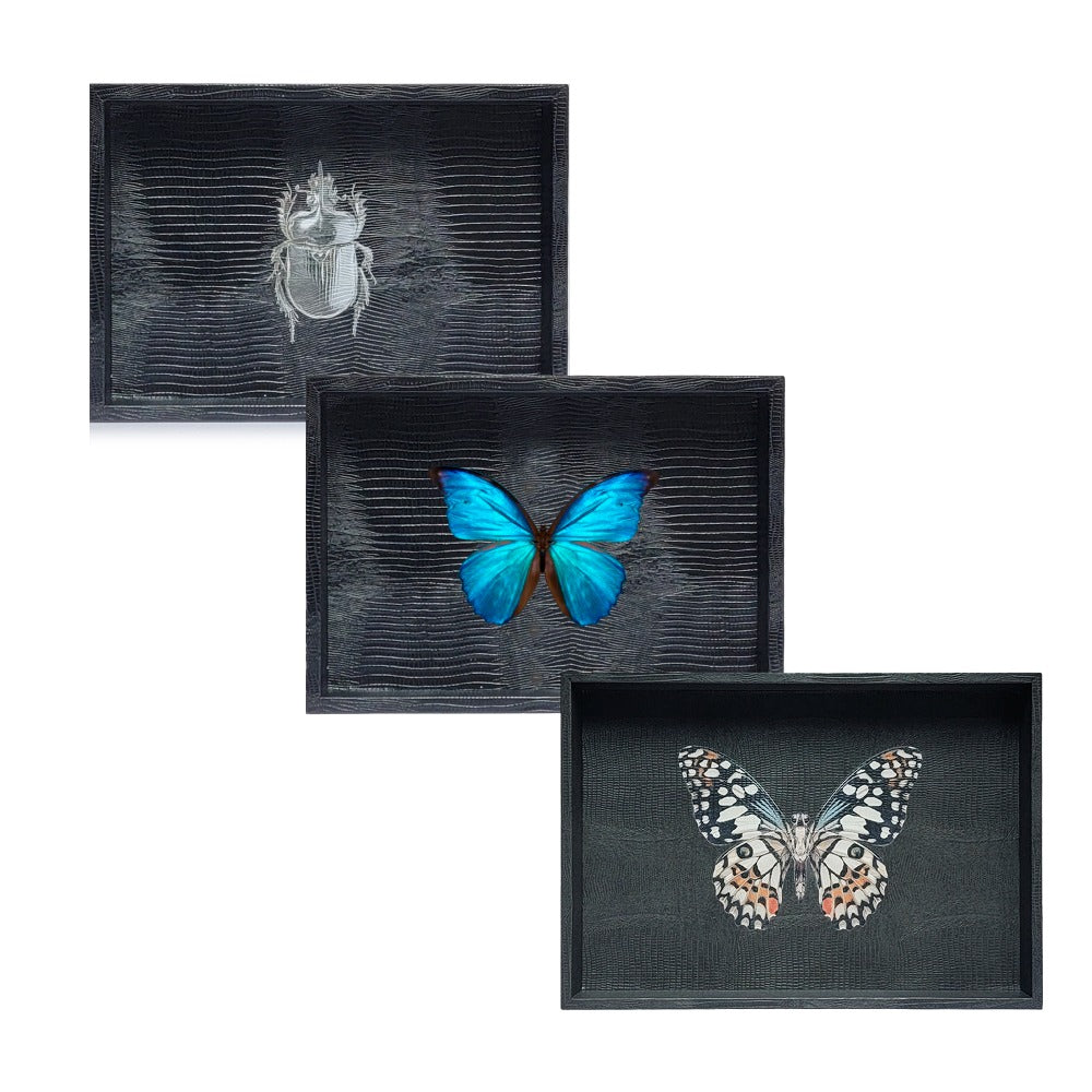 CHAROLA BURO NEGRO ARMADILLO