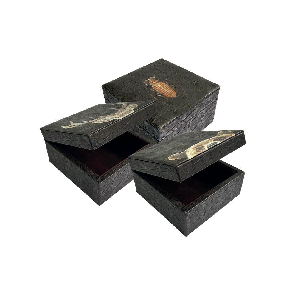 CAJA DECORATIVA CHICA Q38