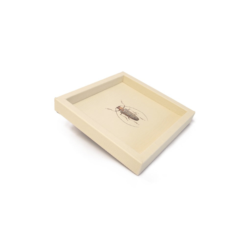 CHAROLA 15 X 15 CARNE ARMADILLO