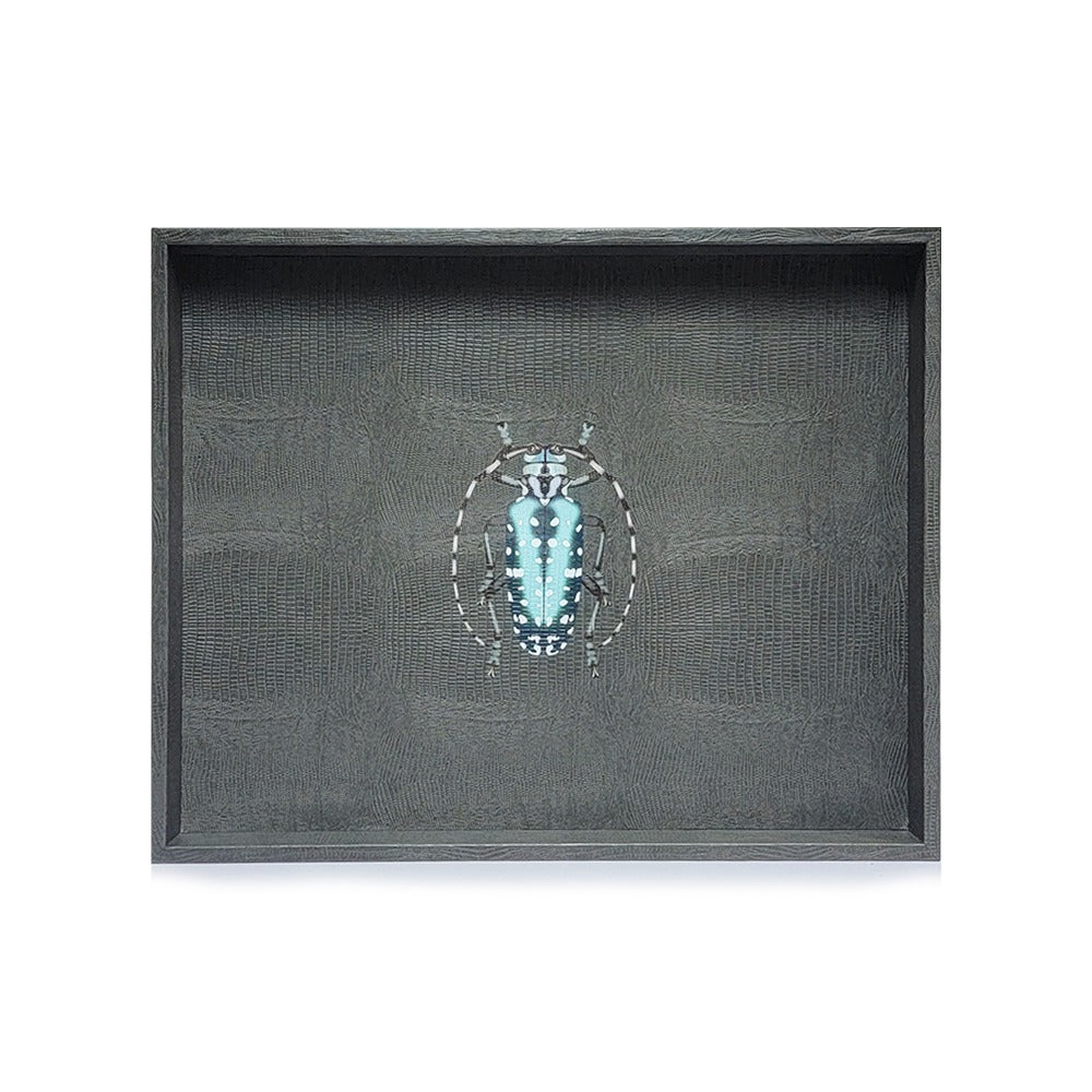 CHAROLA GRANDE GRIS ARMADILLO