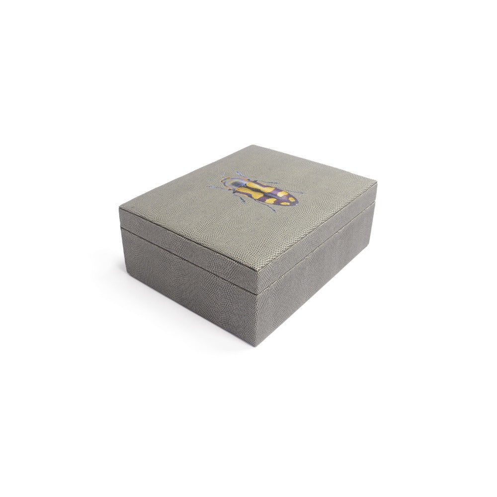 CAJA DE TE 6 REPTIL GRIS
