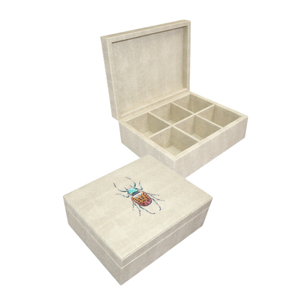 CAJA DE TE 6 RAYITAS CARNE