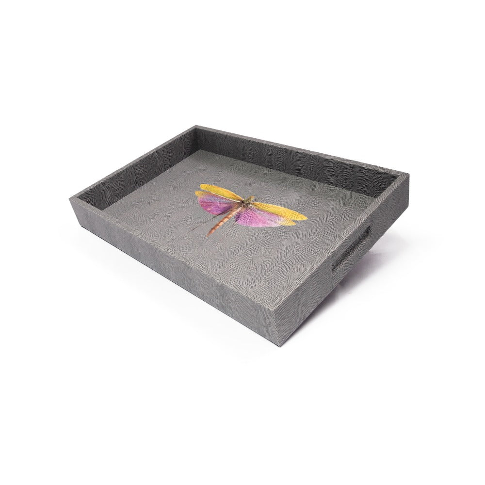 CHAROLA MEDIANA REPTIL GRIS