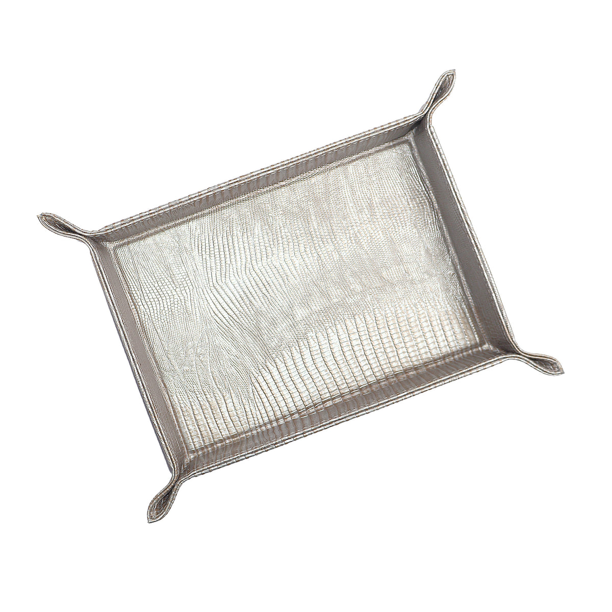 VACIA BOLSILLOS GRANDE TEJUS PLATA BEIGE