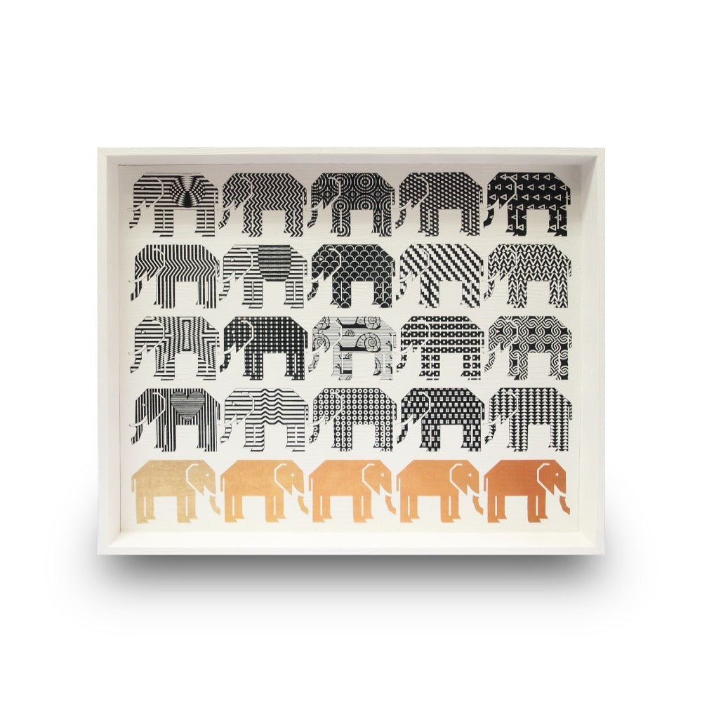 CHAROLA GRANDE NIEVE ARMADILLO PEDRO FRIDEBERG