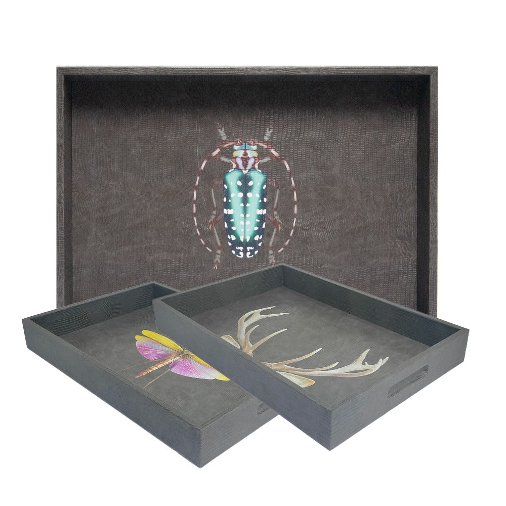 CHAROLA MEDIANA GRIS ARMADILLO