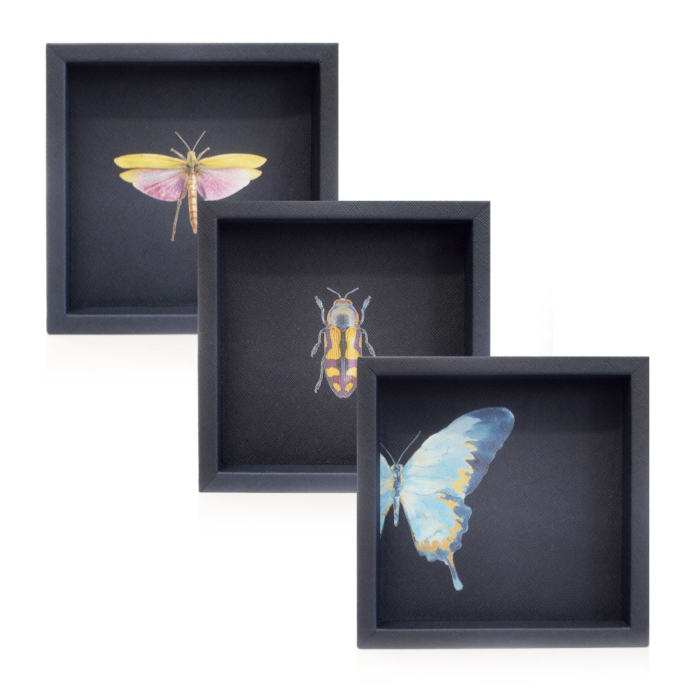 CHAROLA 15 X 15 FORRO AZUL NOCHE