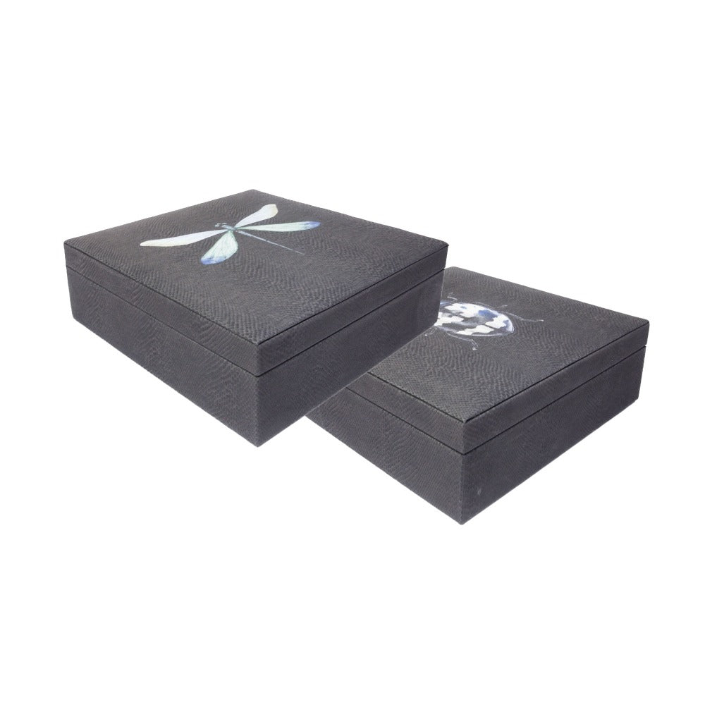 CAJA DE TE 9 PAMPA