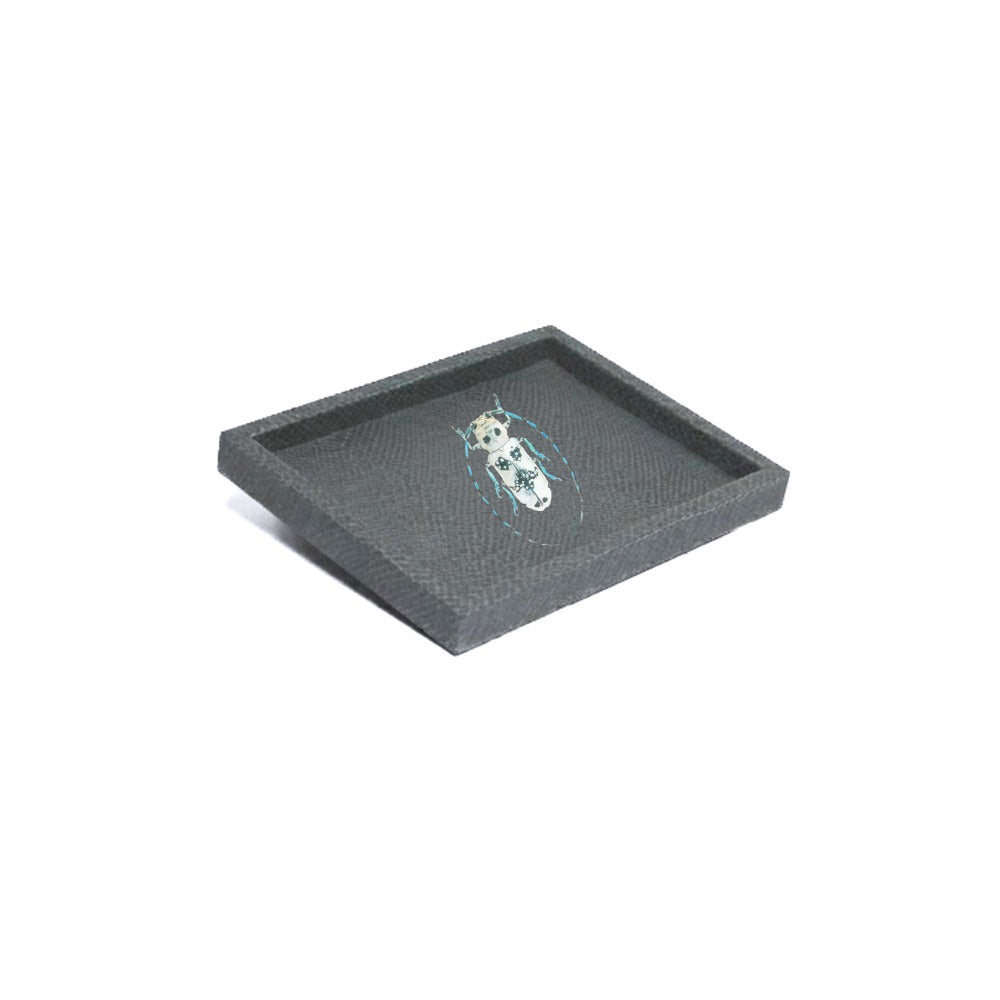 LADDU PAMPA TRAY