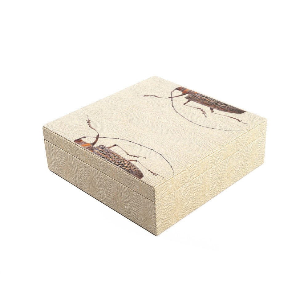 CAJA DE TE 9 RAYITAS CARNE