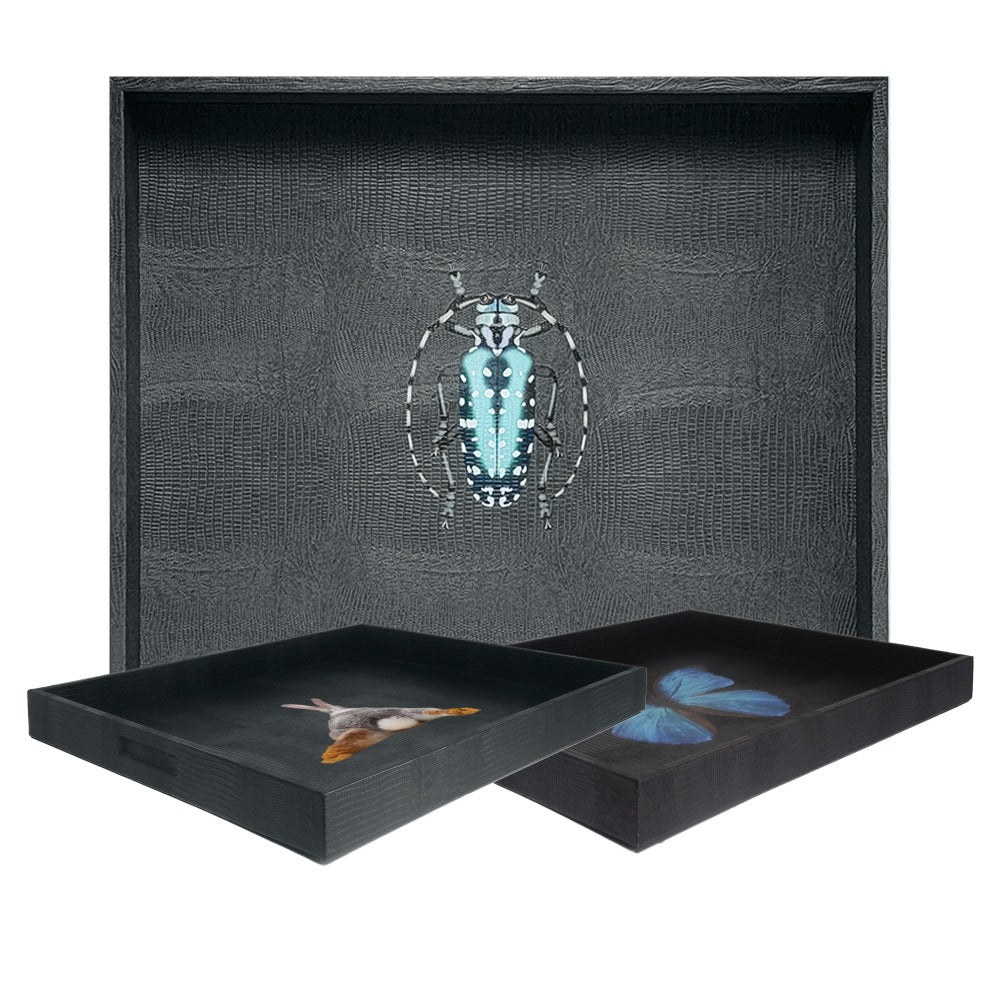 CHAROLA EXTRA GRANDE NEGRO ARMADILLO