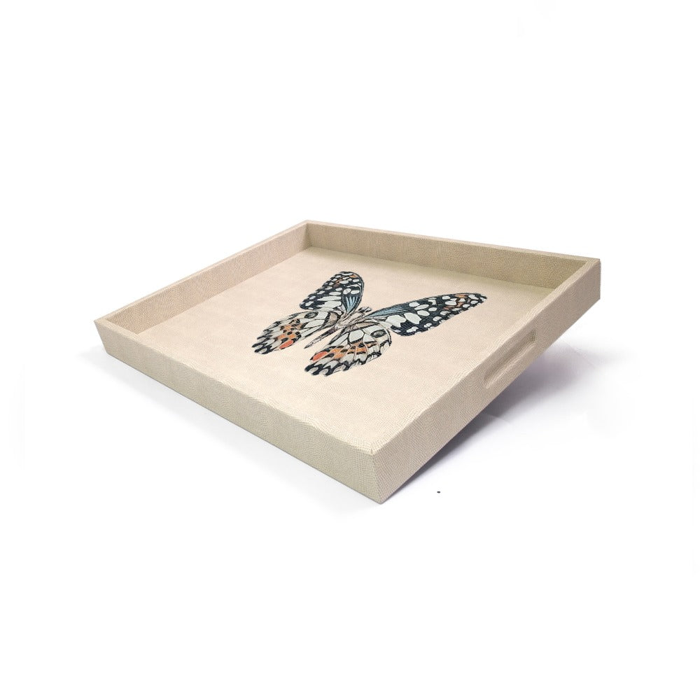 CHAROLA GRANDE RAYITAS CARNE