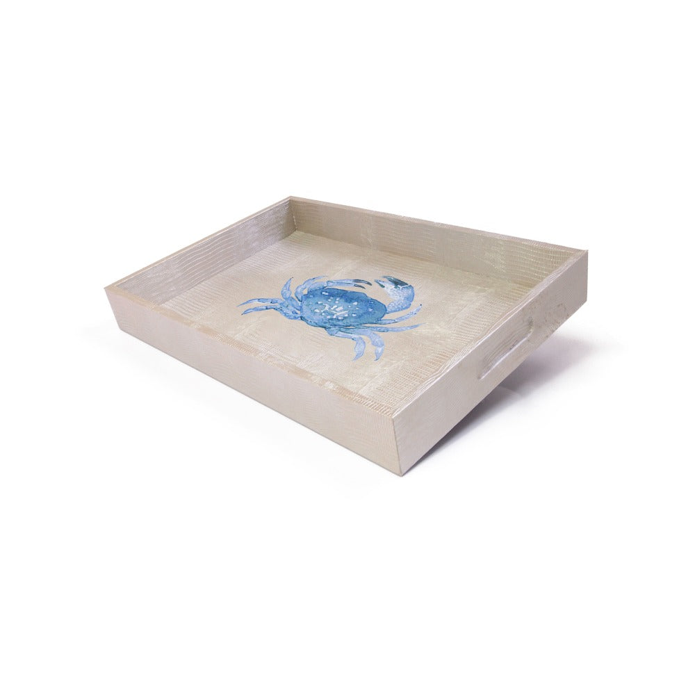 CHAROLA MEDIANA TEJUS PLATA BEIGE