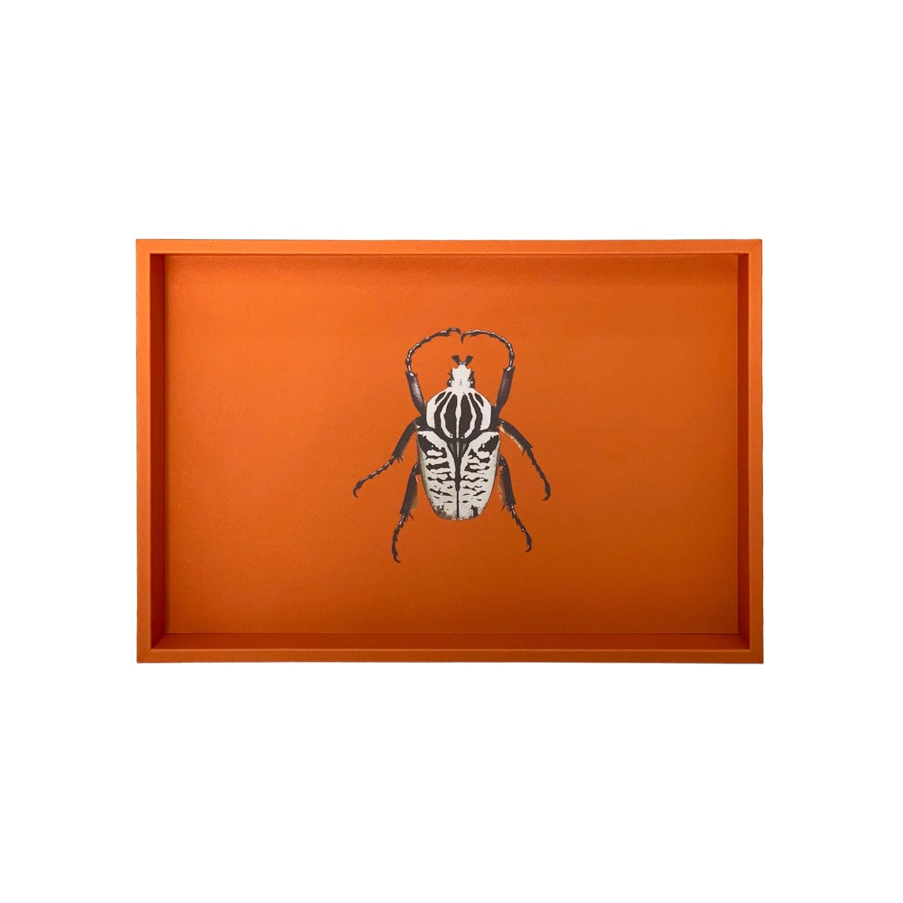 CHAROLA MEDIANA FORRO NARANJA