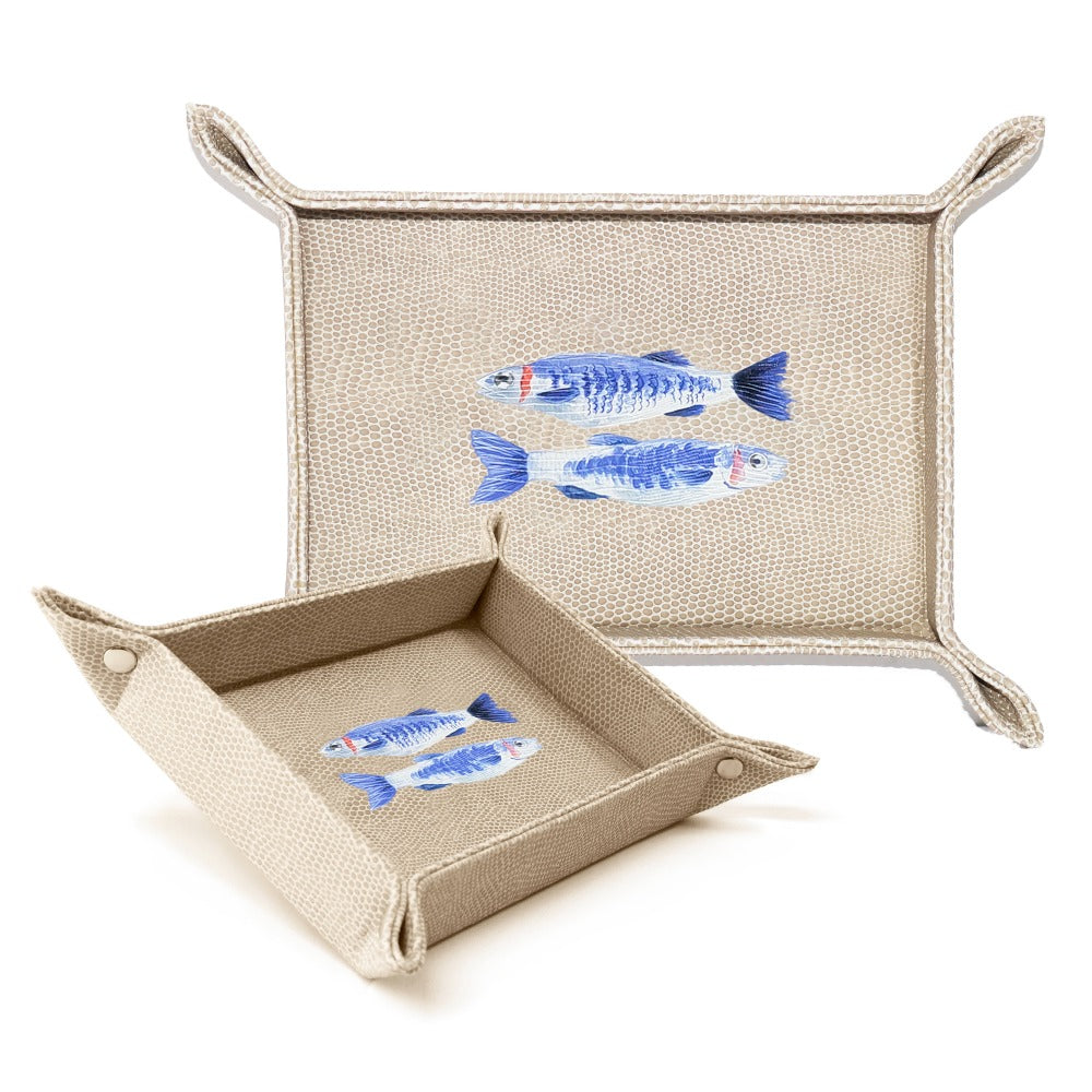 VACIA BOLSILLOS CHICO RAYITAS CARNE