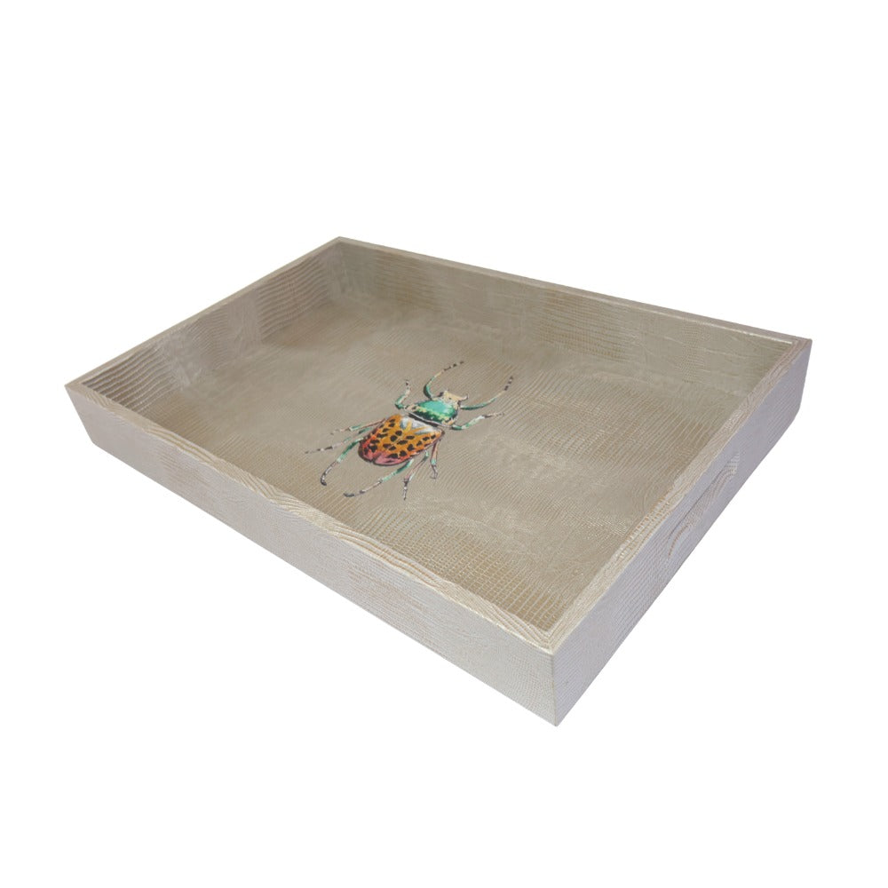 CHAROLA MEDIANA TEJUS PLATA BEIGE