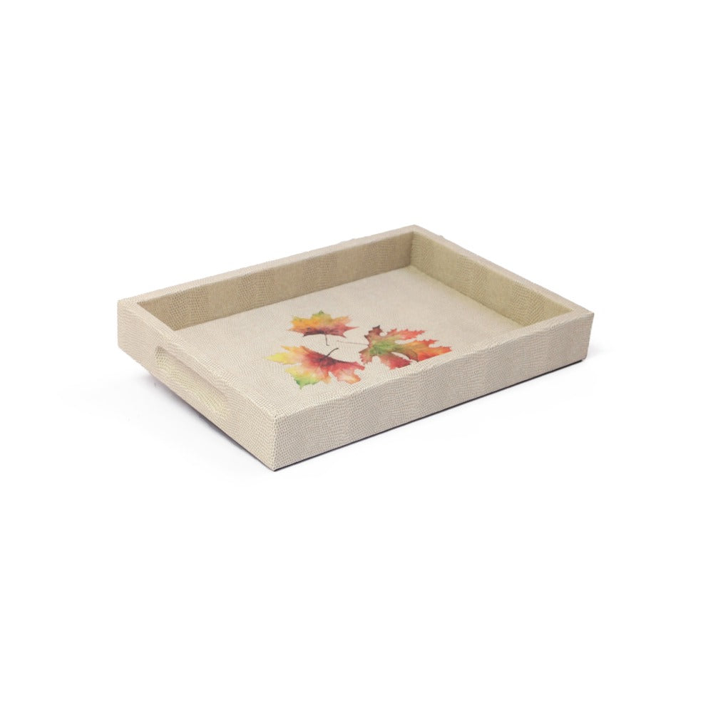 CHAROLA BURO RAYITAS CARNE