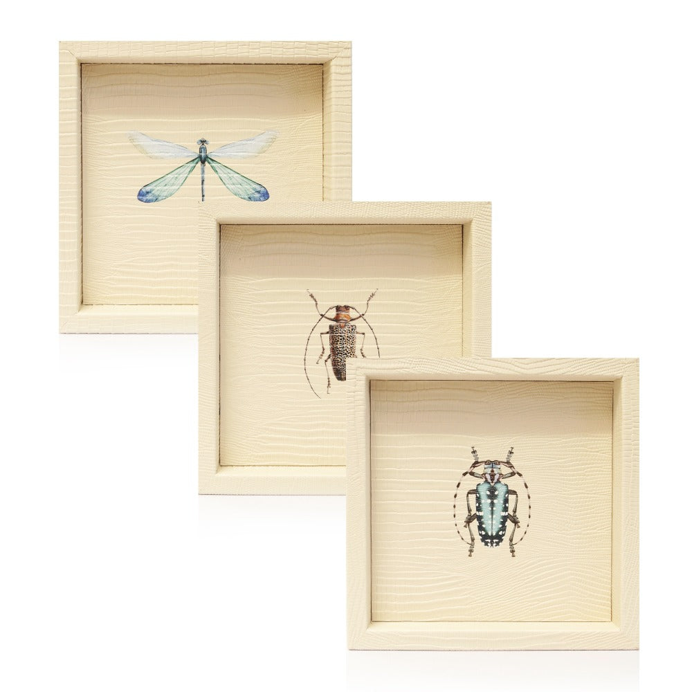 CHAROLA 15 X 15 CARNE ARMADILLO