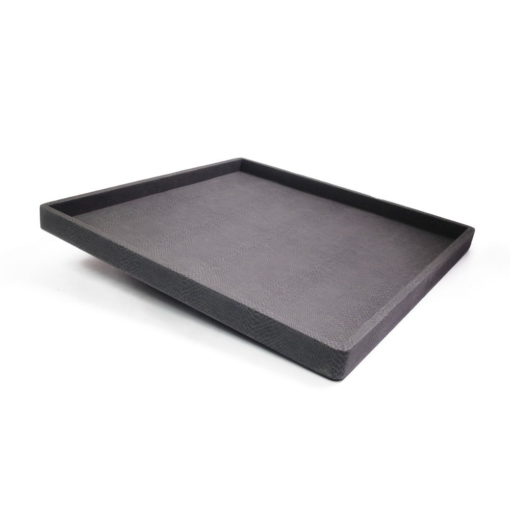 CHAROLA POLAROID EXTRA GRANDE