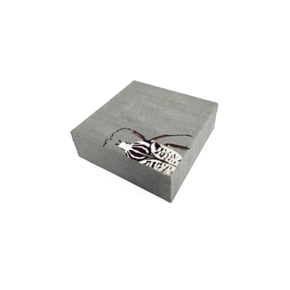 CAJA DE TE 9 REPTIL GRIS