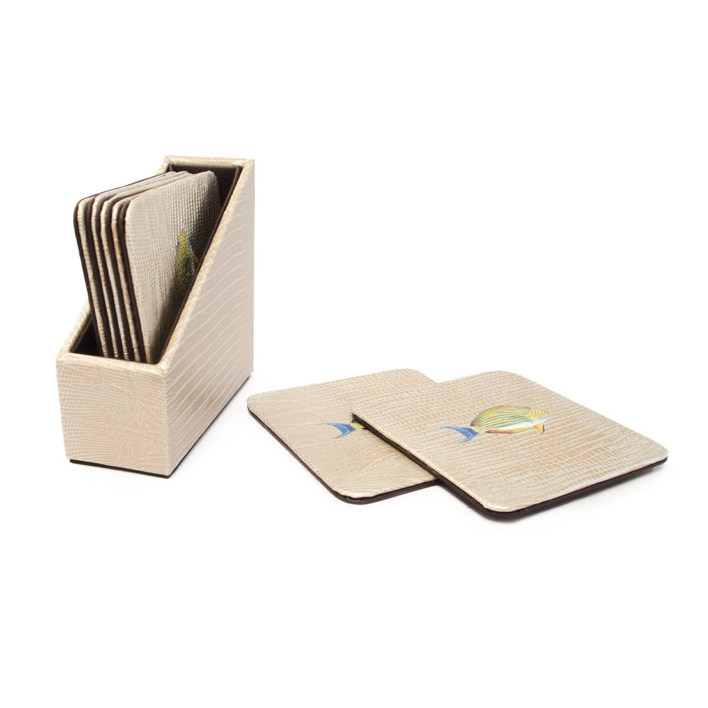 ESTUCHE PORTA VASOS CUADRADOS 6