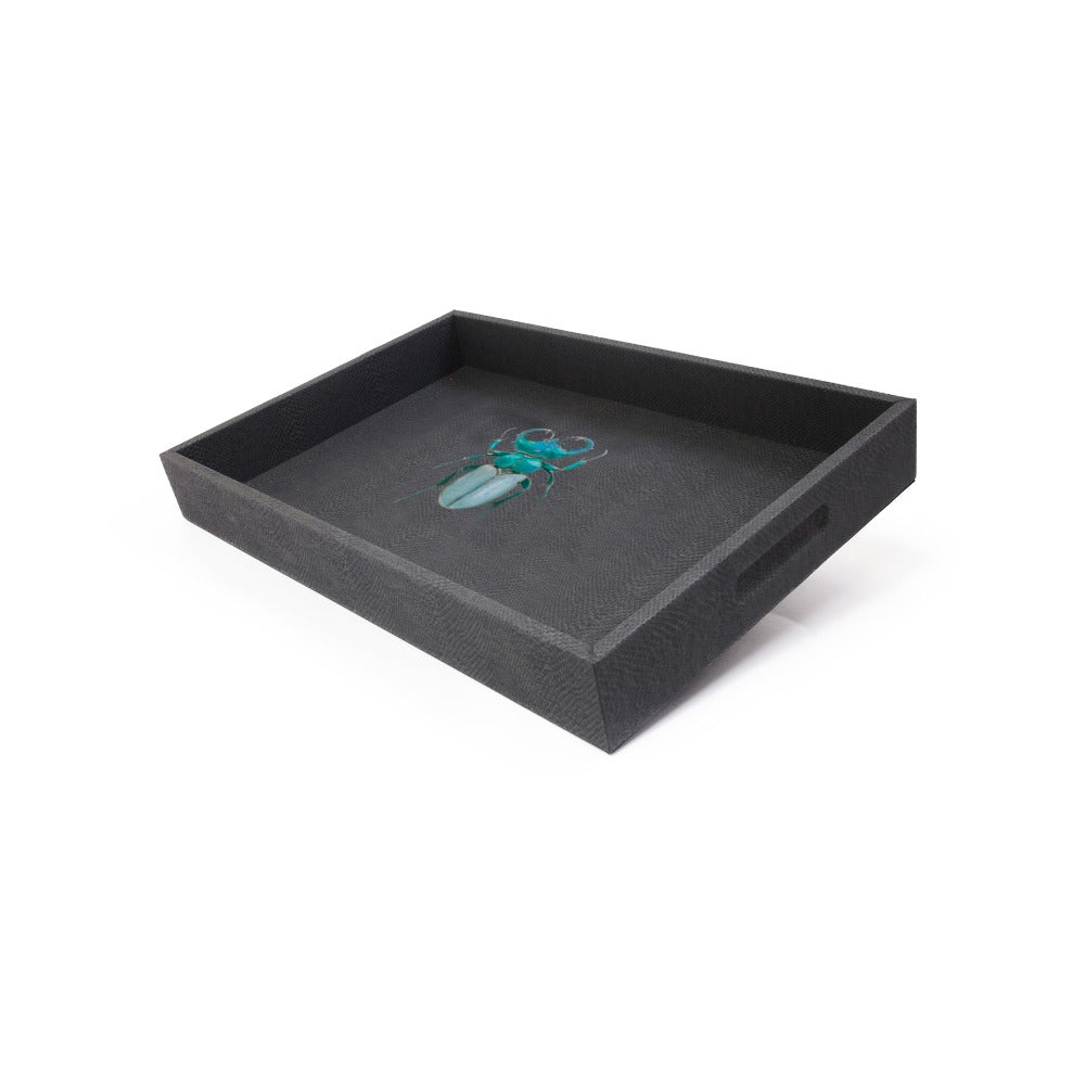 CHAROLA MEDIANA PAMPA