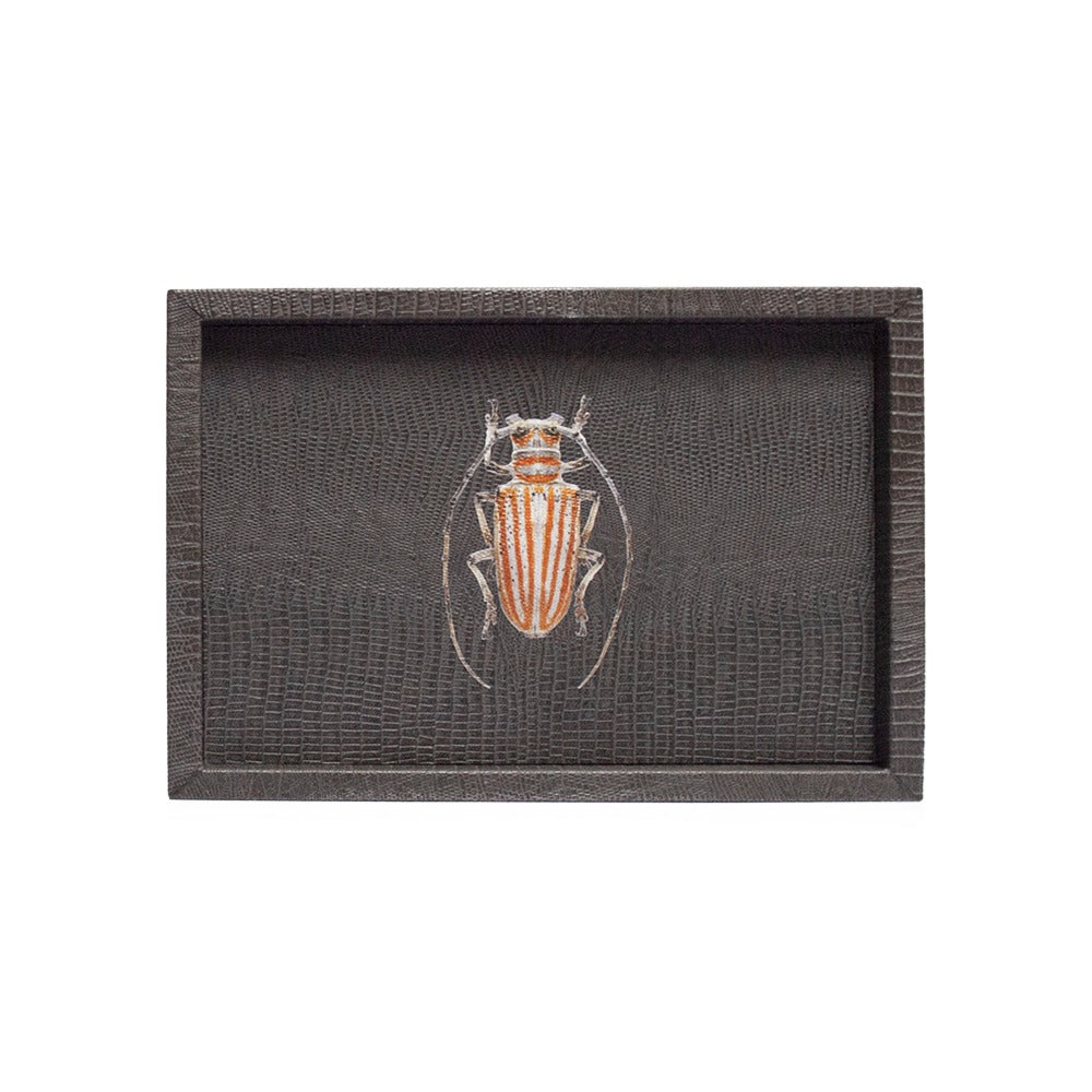 CHAROLA MEDIANA GRIS ARMADILLO