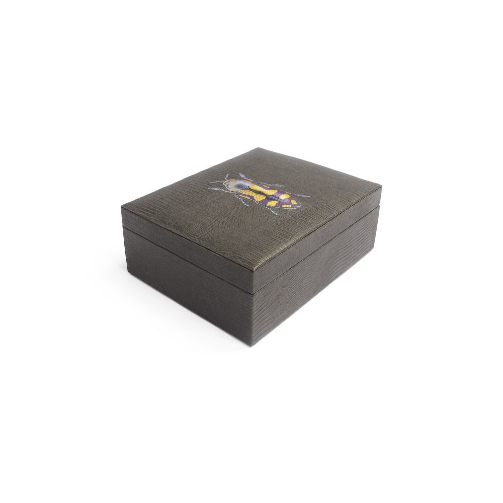 CAJA DE TE 6 GRIS ARMADILLO