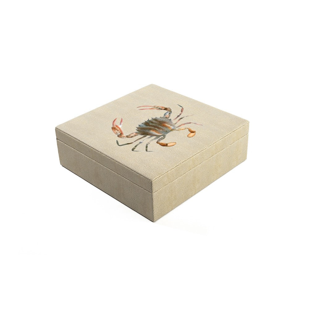 CAJA DE TE 9 RAYITAS CARNE