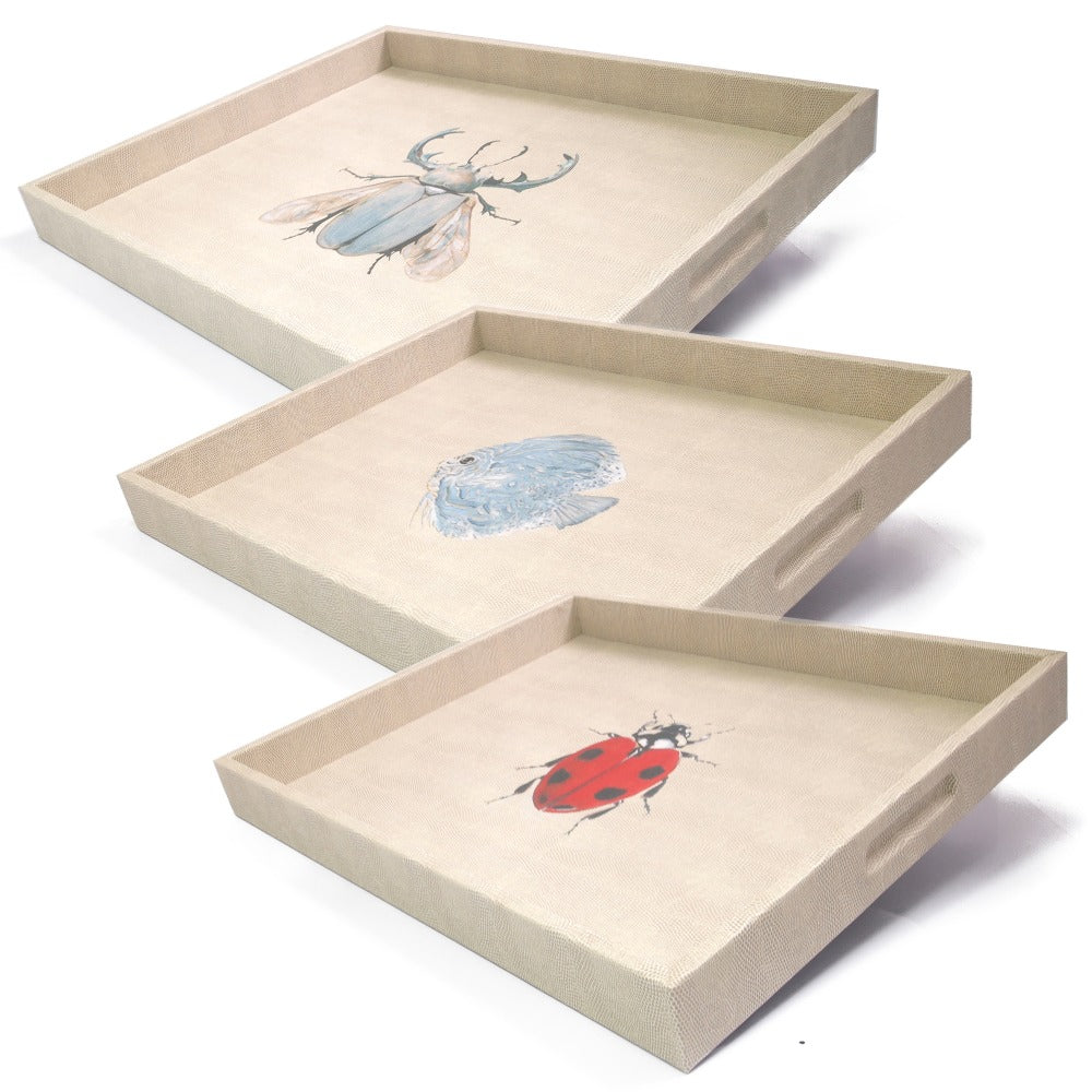 CHAROLA EXTRA GRANDE RAYITAS CARNE