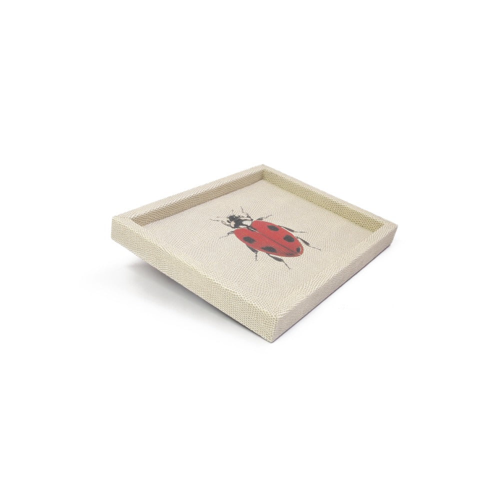 CHAROLA LADDU RAYITAS CARNE