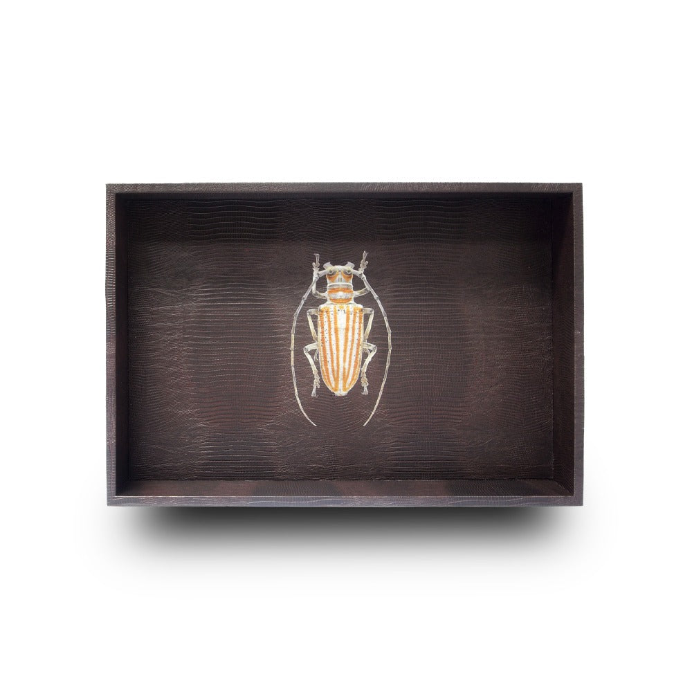 CHAROLA MEDIANA TABACO ARMADILLO