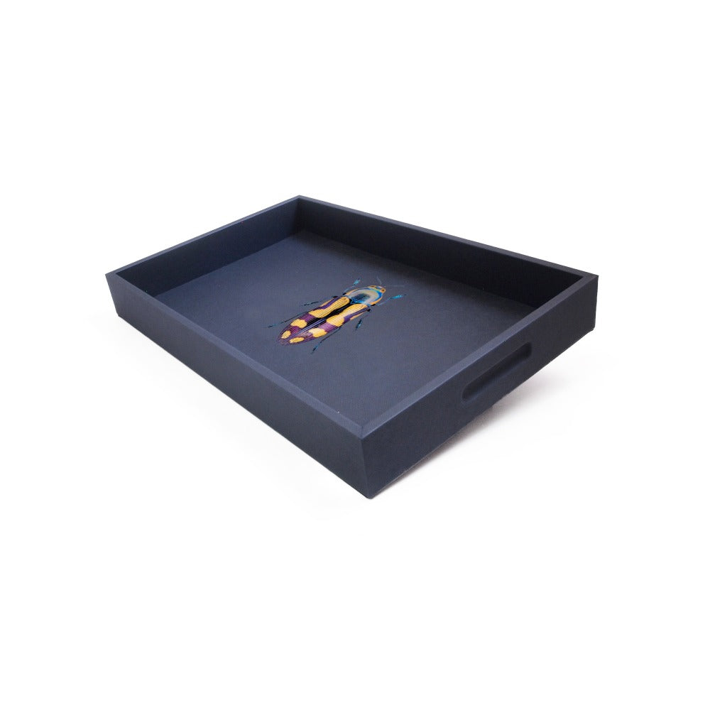 CHAROLA MEDIANA FORRO AZUL NOCHE