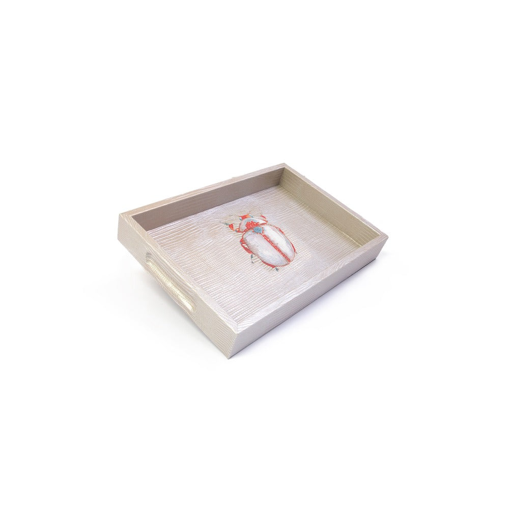 CHAROLA BURO TEJUS PLATA BEIGE